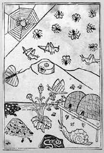 Insects and Worms (Title Page of the 7. Booklet)