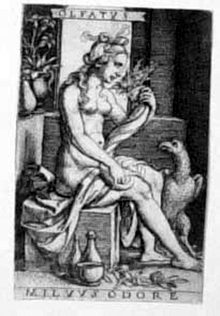 Allegorische Darstellung der Fünf Sinne -  Der Geruch