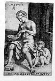 Allegorische Darstellung der Fünf Sinne -  Der Geschmack