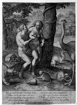 The Fall of Man