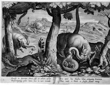 Elephanten und Schlangen