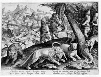 Tiger- und Löwenjagd