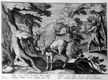 Hirschjagd