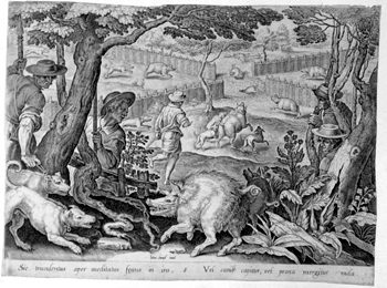 Wildschweinjagd