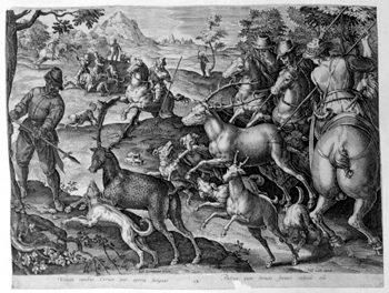 Damhirsche und Hirsche