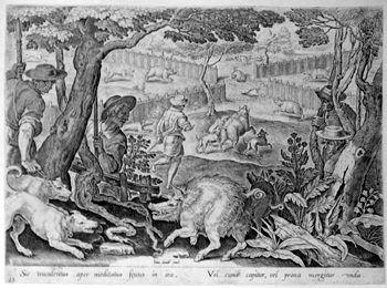 Boar Hunt