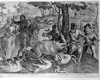Boar Hunt