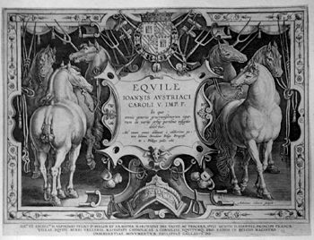 Titelblatt >>EQVILE IOANNIS AVSTRIACI CAROLI V. IMP. F. In quo omnis generis generosissimorum equorum exvariis orbis partibus insignis delectus.<<