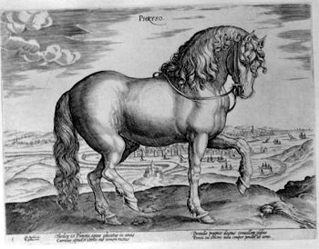 Friese