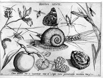 Schnecke und Schmetterling, von Insekten und Gewächsen umgeben