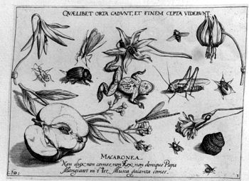 Frosch, von Insekten und Gewächsen umgeben