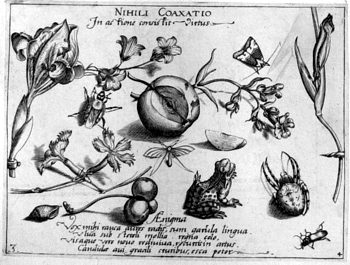 Apfel und Frosch, von Insekten und Gewächsen umgeben