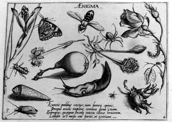 Nacktschnecke, von Insekten und Gewächsen umgeben