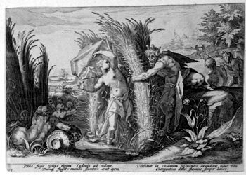 Pan und Syrinx,  in Schilf verwandelt