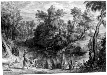 Landschaft