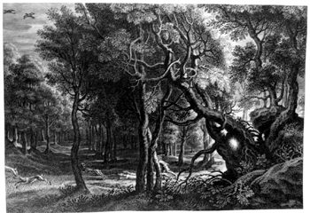Waldlandschaft mit einer Jagdszene