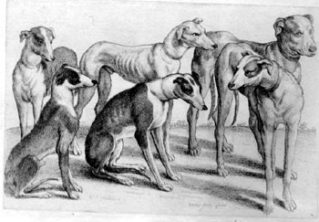Six Dogs