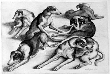 Six Dogs