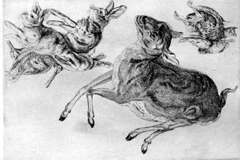 Erlegte Hasen, Reh and Rebhuhn