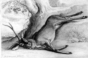 Erlegter Stag