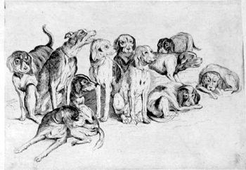 Dogs