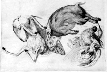 Erlegtes Wild Boar, Reh and weitere Tiere