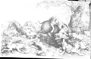 Boar Hunt