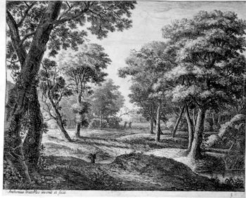 Weg durch die Wälder