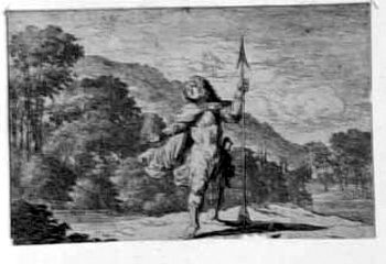 Dorinda auf einer Wiese