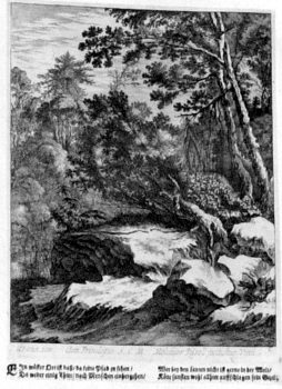 Wilde Wasserlandschaft