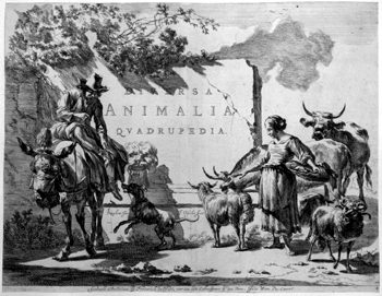 Titelblatt - >>DIVERSA ANIMALI QUADRUPEDIA<<
