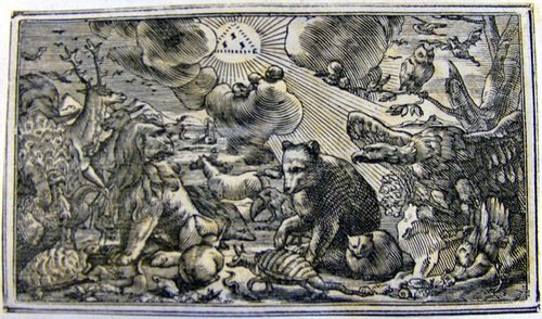 Erschaffung der Tiere
