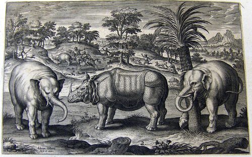 Elefanten und ein Nashorn