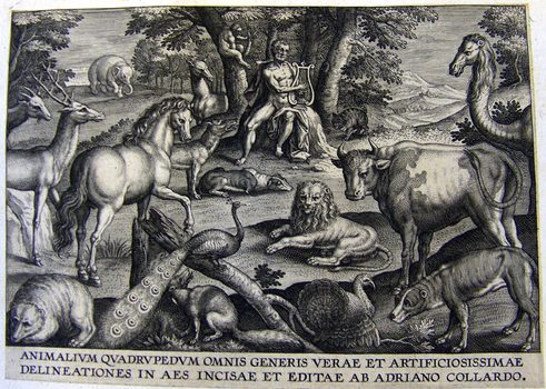 Titelblatt - Orpheus bezaubert  Bäume und Tiere mit seinem Leierspiel >>ANIMALIUM QVDRVPEDVM OMNIS GENERIS VERAE ET ARTIFICIOSISSIMAE DELINEATIONES IN AES INCISAE ET EDITAE AB ADRIANO COLLARDO<<