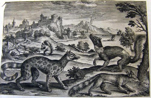Hyänen