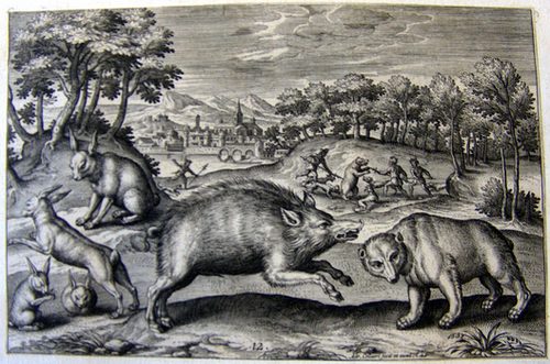 Ein Wildschwein und ein Bär mit Hasen