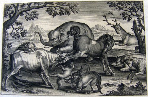Tierkämpfe