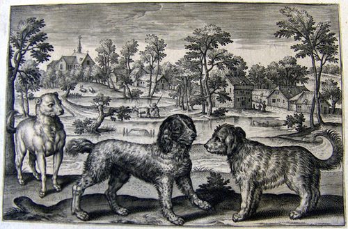 Hunde