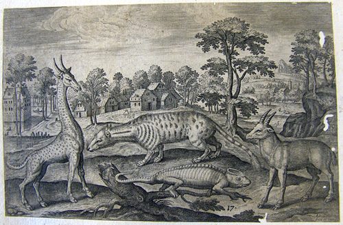 Eine Giraffe mit einem Chamäleon