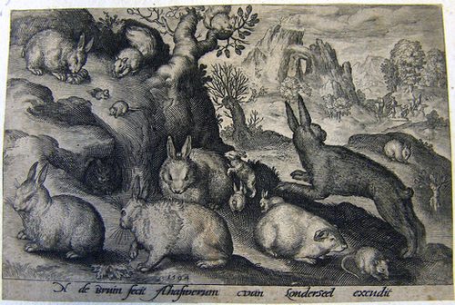 Die Hasen und die Mäuse
