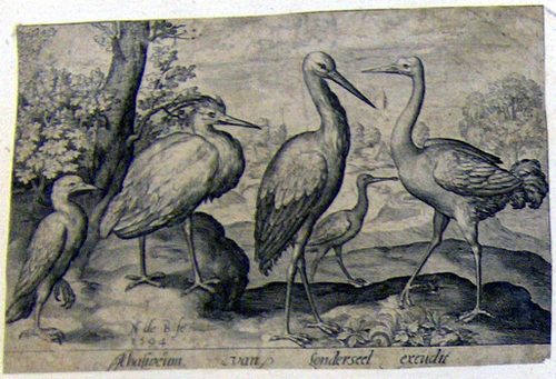 Ein Storch und ein Reiher