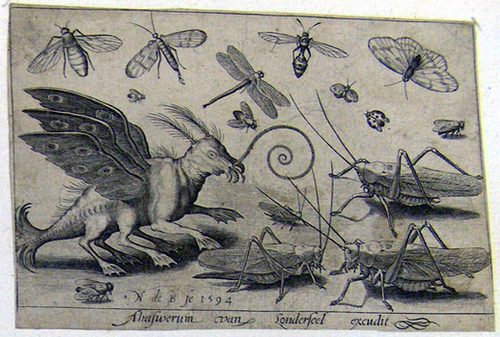 Die Insekten und ein fantastisches Tier