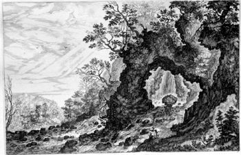 Waldlandschaft