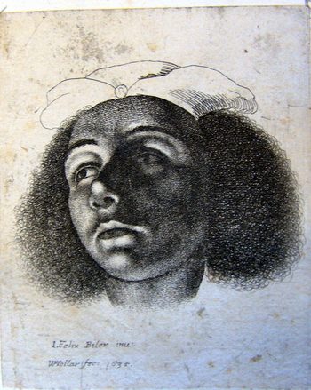 Head of a Mohrenweibes