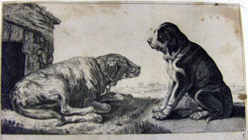 Hunde