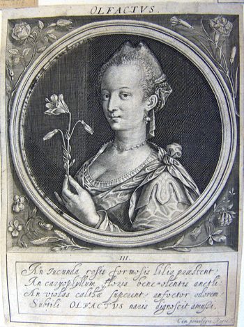 Allegorische Darstellung der Fünf Sinne -  Der Geruch