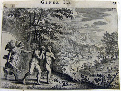 Expulsion from Paradise