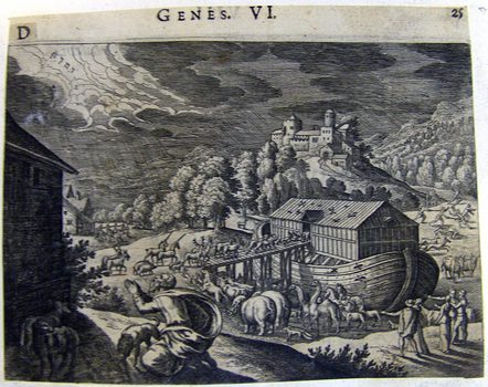 Arche Noahs