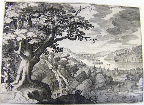 Waldlandschaft bei Innstein am Rhein