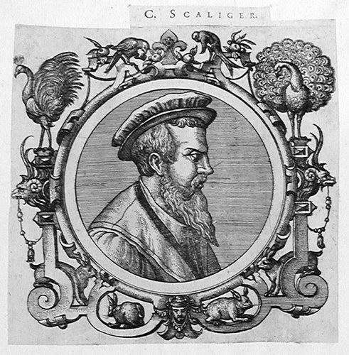 Peter Andreas Matthiolus, der Leibarzt des Kaisers Maximilian
